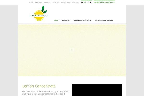 Lemon theme site design template sample