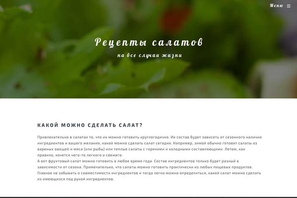 lenaknyazeva.ru site used Rikado