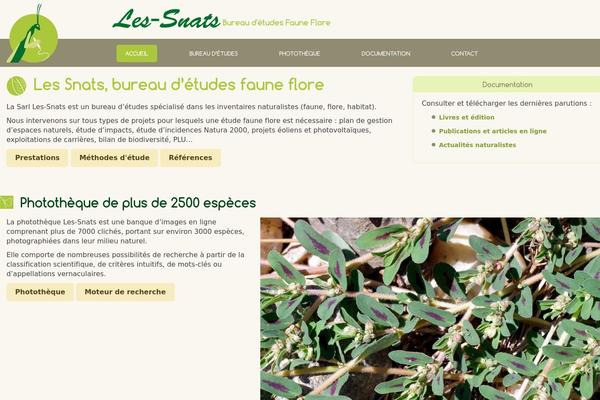 les-snats.com site used Lessnats