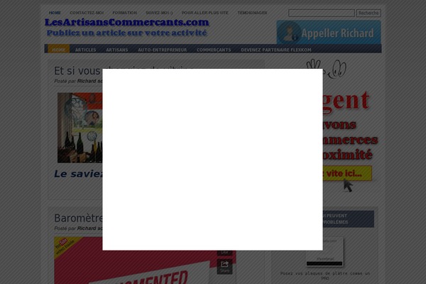 StyledElement WordPress theme, websites list used StyledElement theme StyledElement theme websites examples
