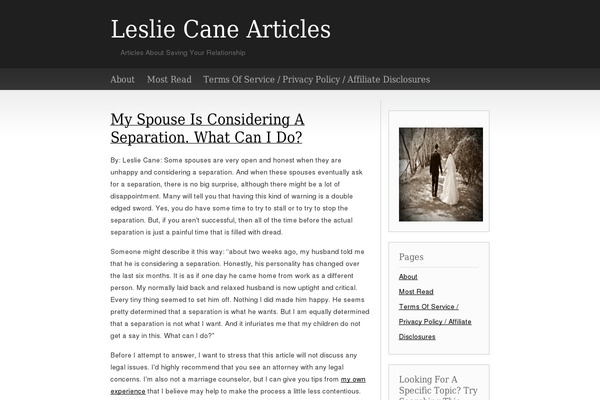 lesliecanearticles.com site used Basic-concept-10