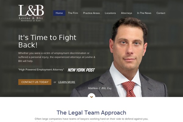 levine-blit theme websites examples