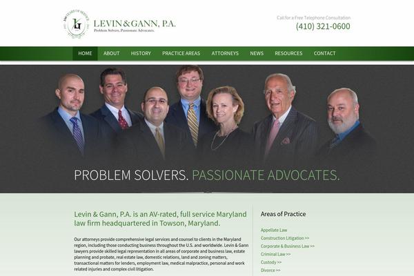 levingann.com site used Levin-gann