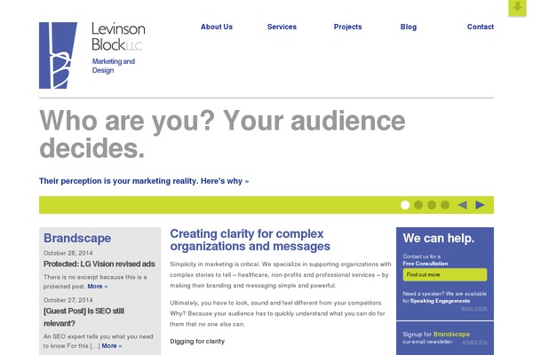 levinson theme websites examples