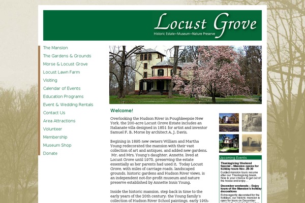 locustgrove theme websites examples