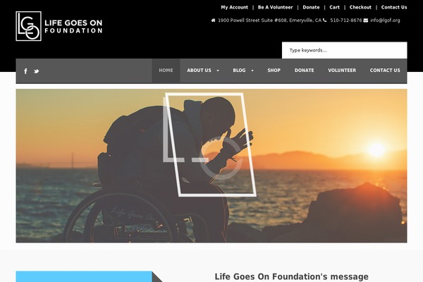 lgof.org site used Charity Hub v1.02