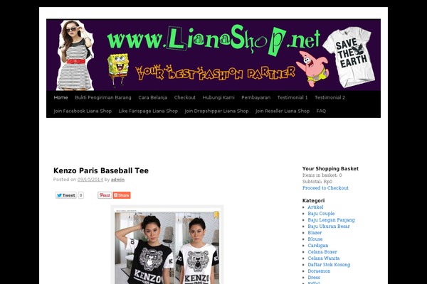 WordPress website example screenshot