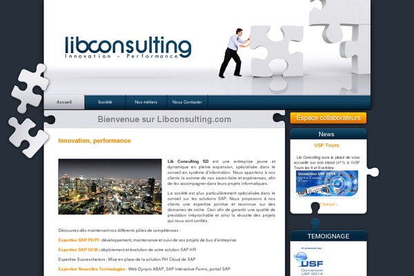 lib-consulting.com site used Lib_cons