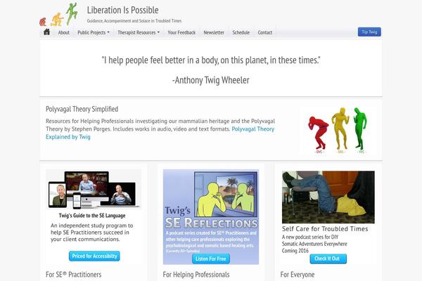liberationispossible.org site used iFeature Pro 5 Child