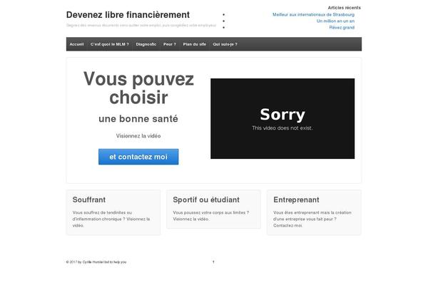 WordPress website example screenshot