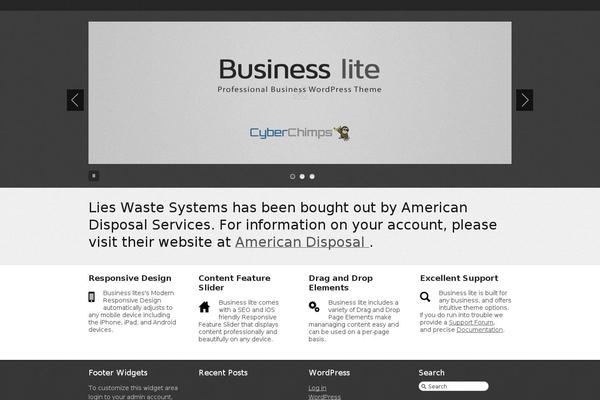Business lite theme site design template sample
