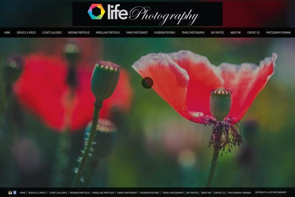 Photolux theme site design template sample