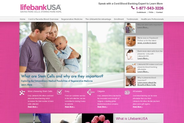 cmds_theme WordPress theme, websites list used cmds_theme theme cmds_theme theme websites examples