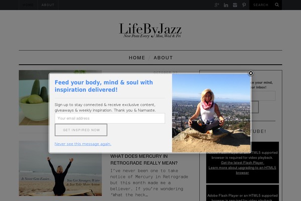 lifebyjazz.com site used Simplemag3