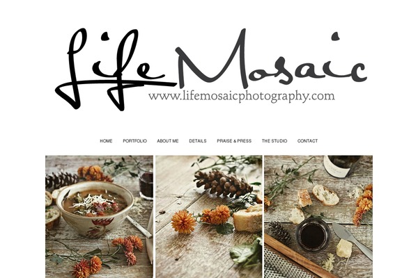 Prophoto4 theme site design template sample