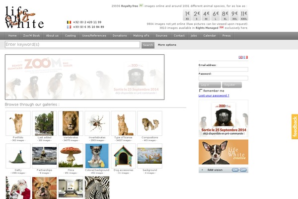Artiste theme site design template sample