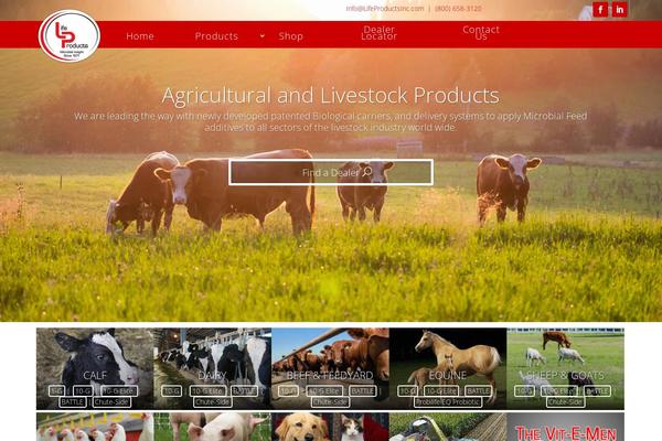 Divi theme site design template sample