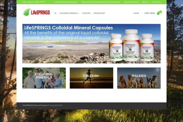Flatsome theme site design template sample