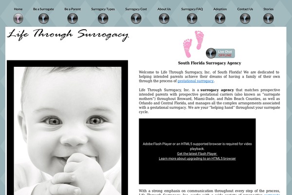 lifethroughsurrogacy.com site used Lifethroughsurrogacy