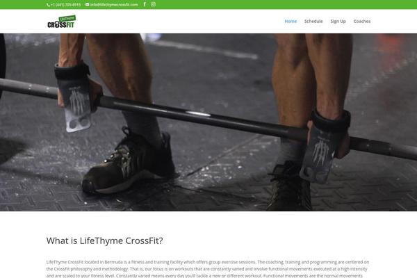 WordPress website example screenshot