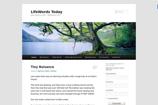 WordPress website example screenshot