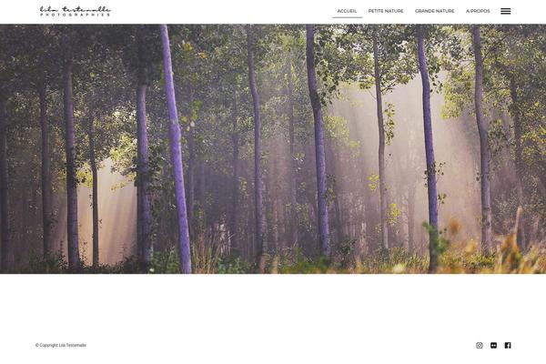 Photography theme site design template sample