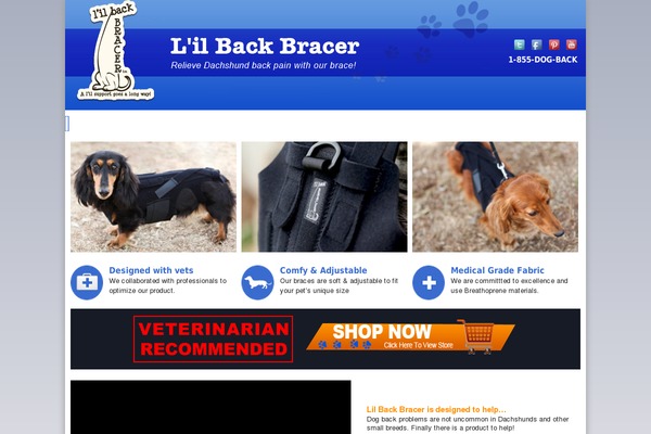 lilbackbracer.com site used Lil1