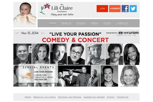 liliclaire theme websites examples