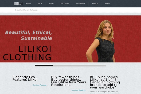 WordPress website example screenshot