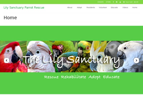 WordPress website example screenshot