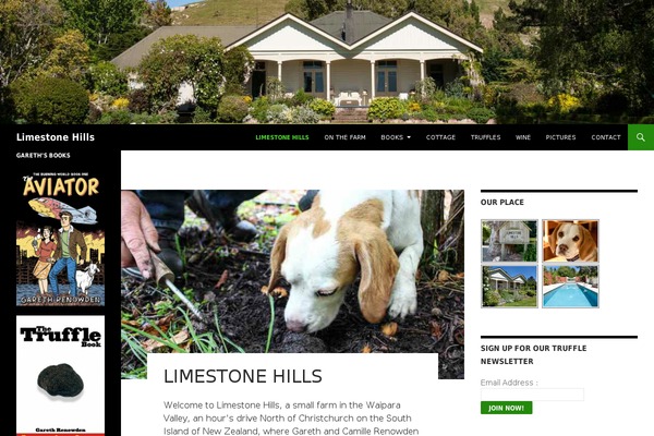 Hemingway-rewritten-wpcom theme site design template sample