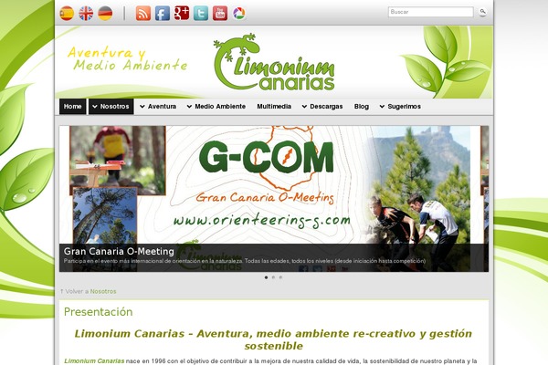 limoniumcanarias.com site used Graphene_limonium