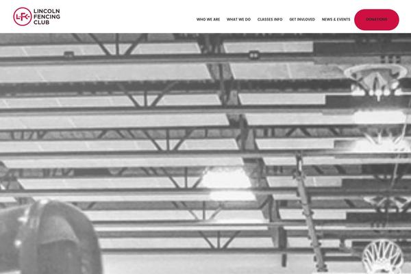 Metro Pro theme site design template sample