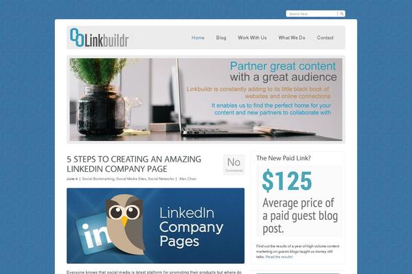 linkbuildr.com site used Venturex