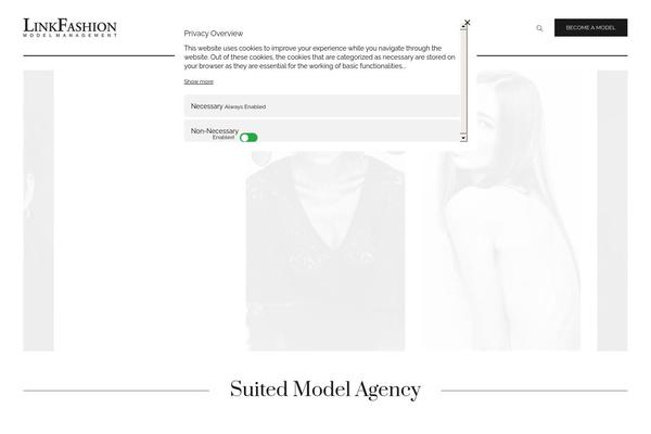 Top-model theme site design template sample