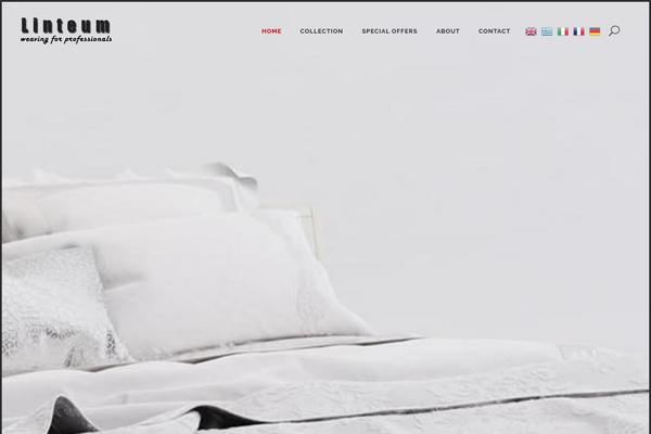 Bridge Child theme site design template sample