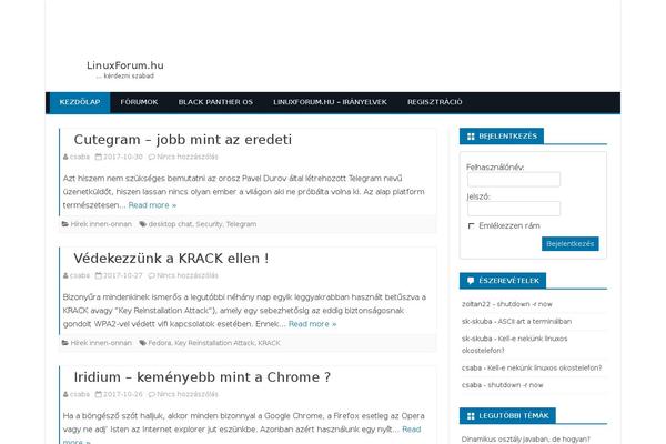 WordPress website example screenshot