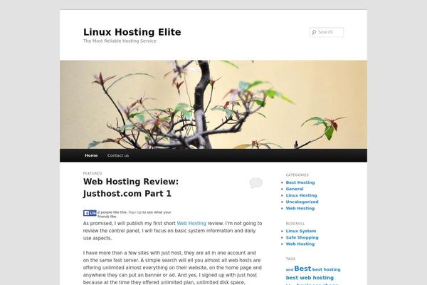 Site using Category Posts Widget plugin