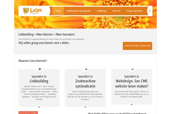 lioninternet.nl site used Saja-child