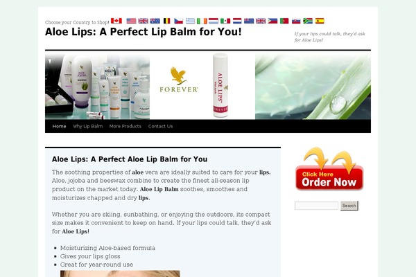 WordPress website example screenshot