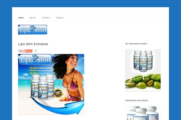 Twenty Twelve theme site design template sample