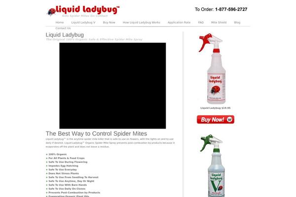 liquidladybug.com site used Media Consult