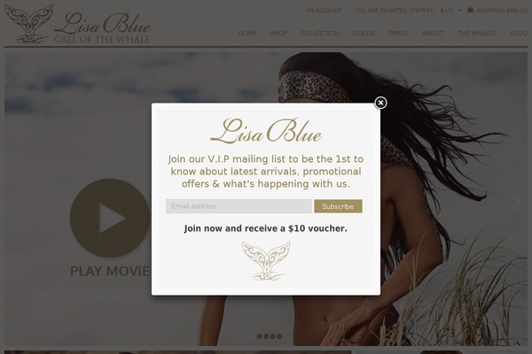 lisablue theme websites examples