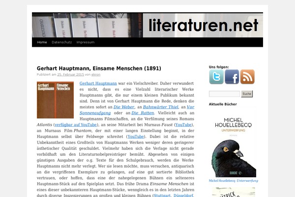 literaturen.net site used Twenty_ten_child