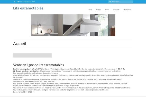 Virtue theme site design template sample
