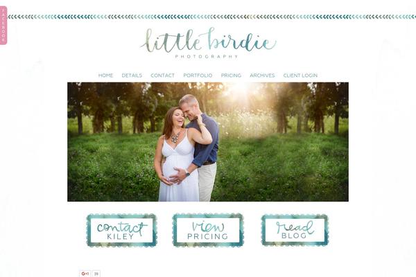 ProPhoto 5 theme site design template sample