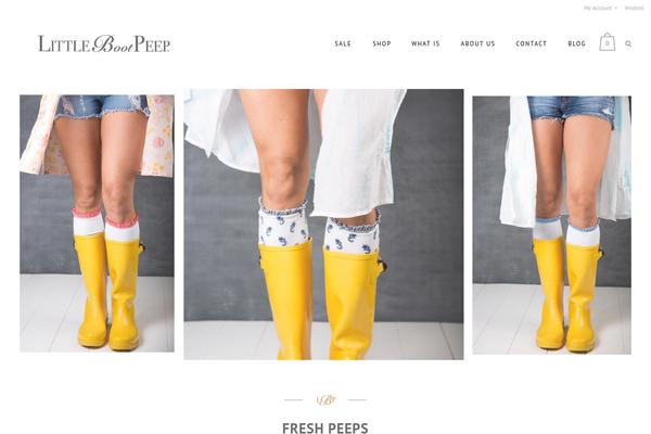 Bridge theme site design template sample