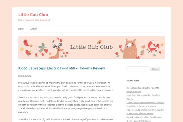 WordPress website example screenshot
