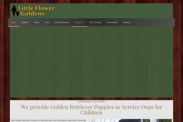 littleflowergoldens.com site used Little_flower_goldens