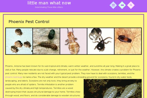 littlemanwhatnow.com site used Jester